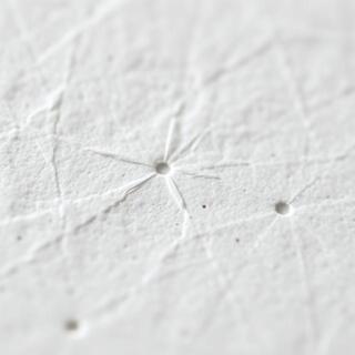 Macro shot of paper fiber under raking light